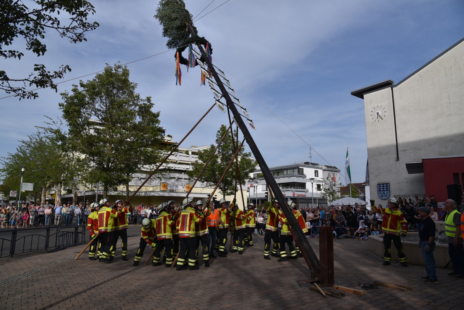 Mit vereinten Kräften. Männer vom Heimat- und Kulturkreis und von der Freiwilligen Feuerwehr stemmten den Maibaum am Rathausbrunnen in die Höhe.