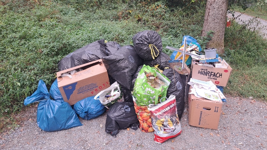 Unbekannte haben illegal Müll im Wald entsorgt.