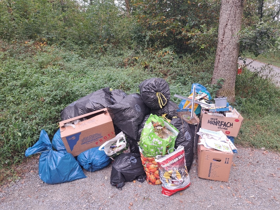 Unbekannte haben illegal Müll im Wald entsorgt.