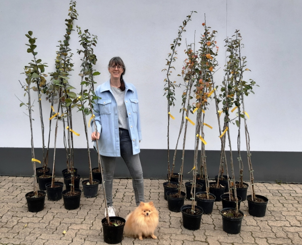 Eine von 50: Meike Kirch hat sich einen Pflaumenbaum gewünscht und ihn im Bauhof abgeholt.