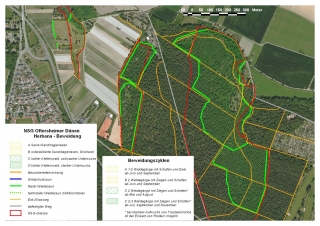 Plan der Beweidung auf den Oftersheimer Dünen in 2023