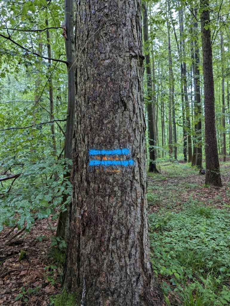 Markierung der Rückegasse     (Quelle: Landratsamt Rhein-Neckar-Kreis)           