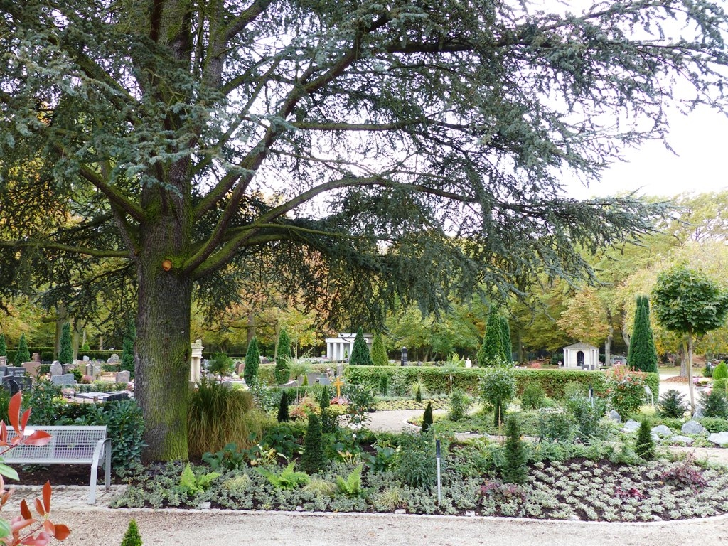 Blick über den Friedhof