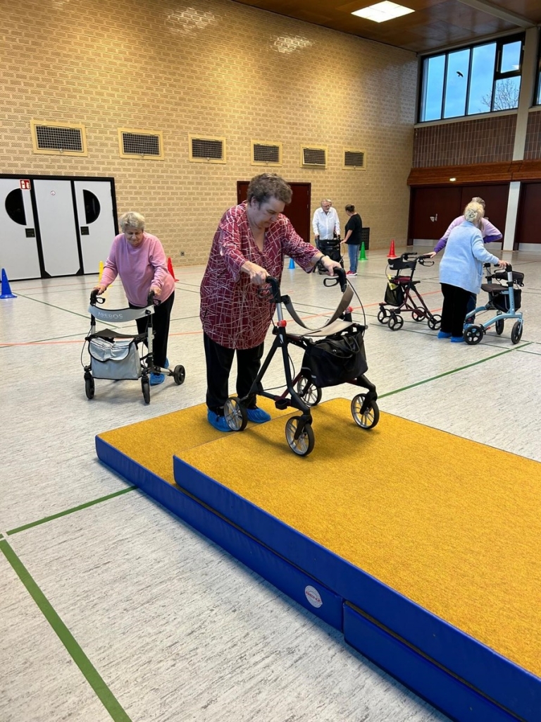 Zum Schluss der Veranstaltung wurde noch gemeinsam trainiert. Hier das Überwinden von Stufen mit dem Rollator. 