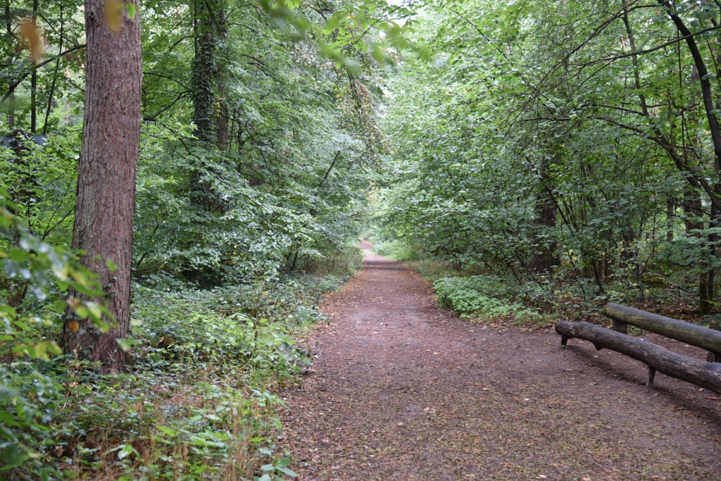 Waldweg in Oftersheim (Symbolbild)