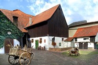 Rose-Saal Publikum im Rose-Saal