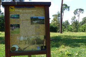 Waldtafel Dünen Waldtafel - Pflege Binnendünen und Sandrasen