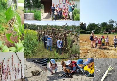 Vorschulkinder beim Projekt Dünenklassenzimmer Vorschulkinder beim Projekt Dünenklassenzimmer